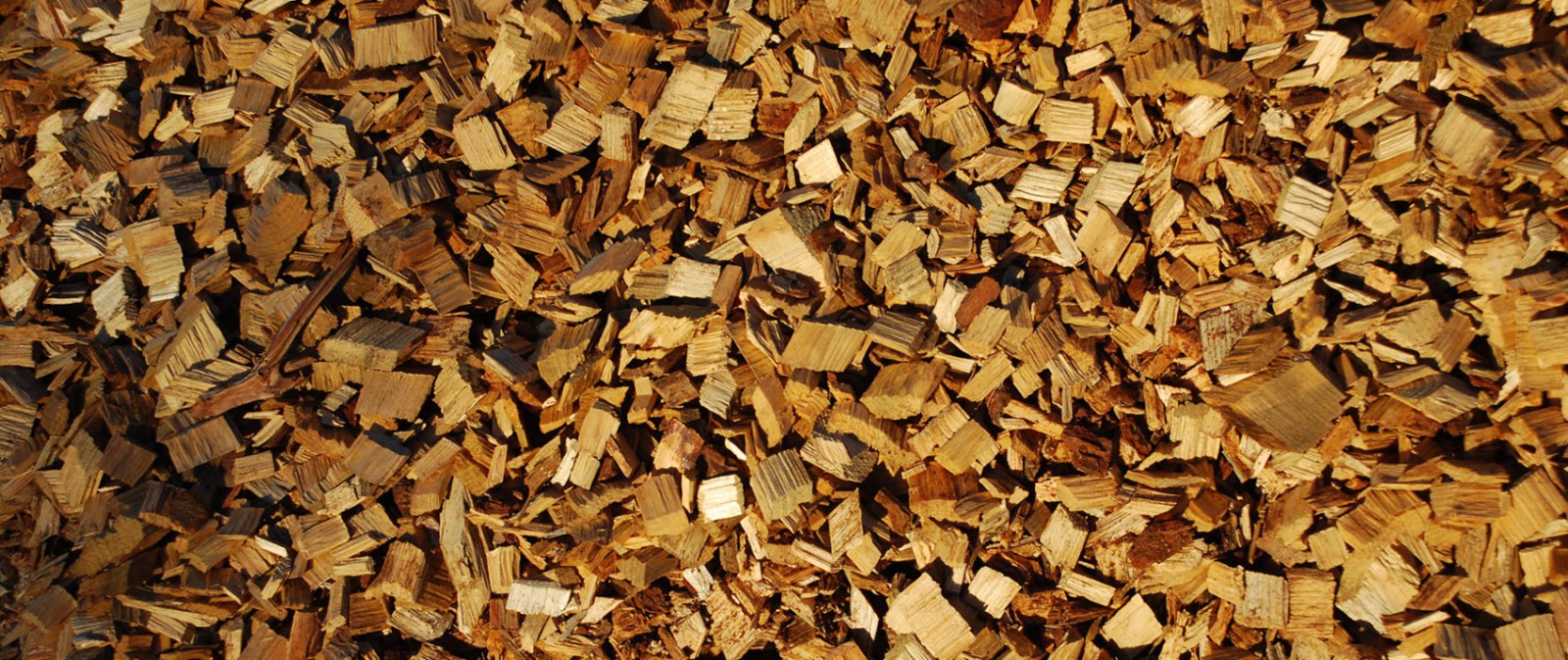 L'abattage en toute confiance !